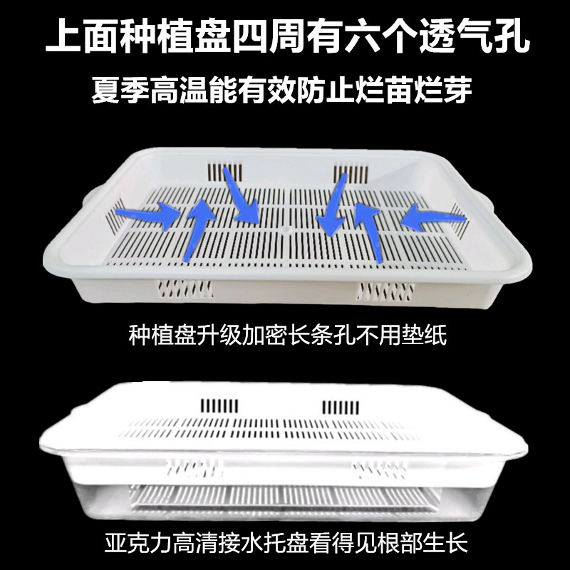 生豆芽神器来袭！家用透明发芽盆，轻松拥有新鲜绿豆芽