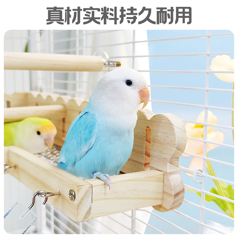 鹦鹉攀爬网牡丹虎皮秋千：给宠物鹦鹉的豪华健身房，聪明又安全！