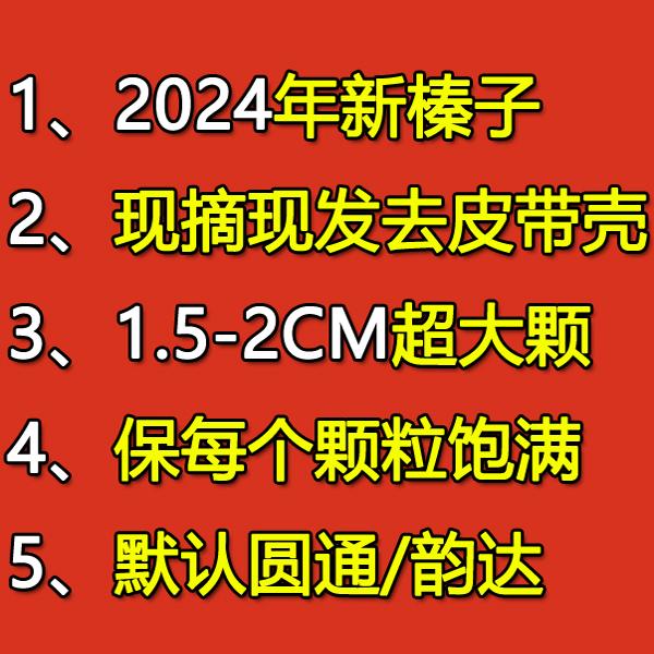 2024年晒干大榛子！东北沈阳原味生榛子，非野生毛楱子未加工，这波不买真的亏了！