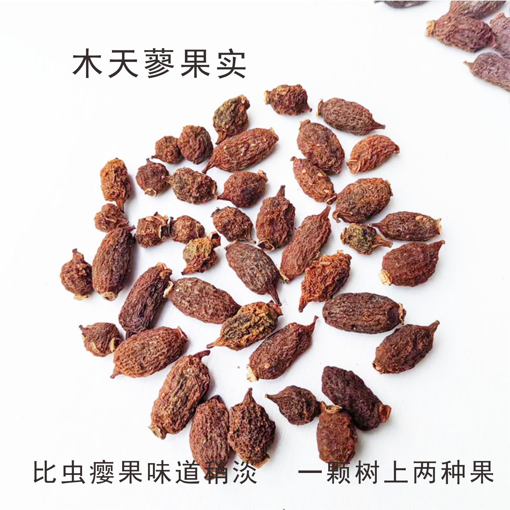 猫咪虫瘿果木天蓼磨牙零食，让爱宠享受自嗨时刻！