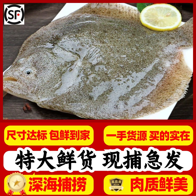 多宝鱼的秘密：鲜活超大无刺鱼比目鱼新鲜鸦片鱼鲽鱼特大偏口鱼海鱼八宝鱼，揭秘这神秘美味！