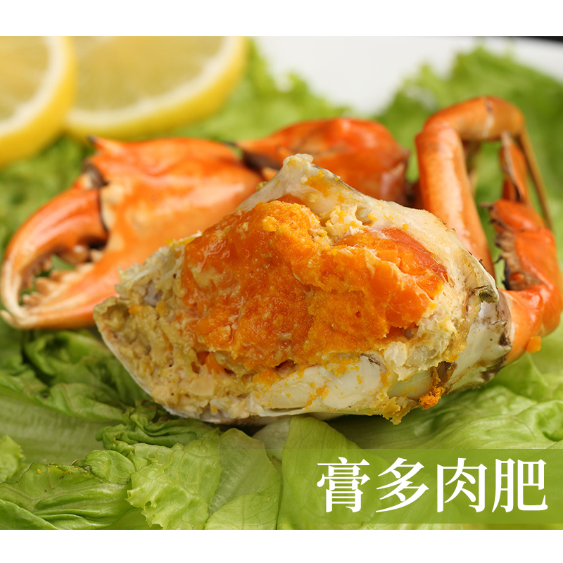鲜活青蟹红膏蟹大母蟹：海鲜盛宴，香辣蟹的美味诱惑！