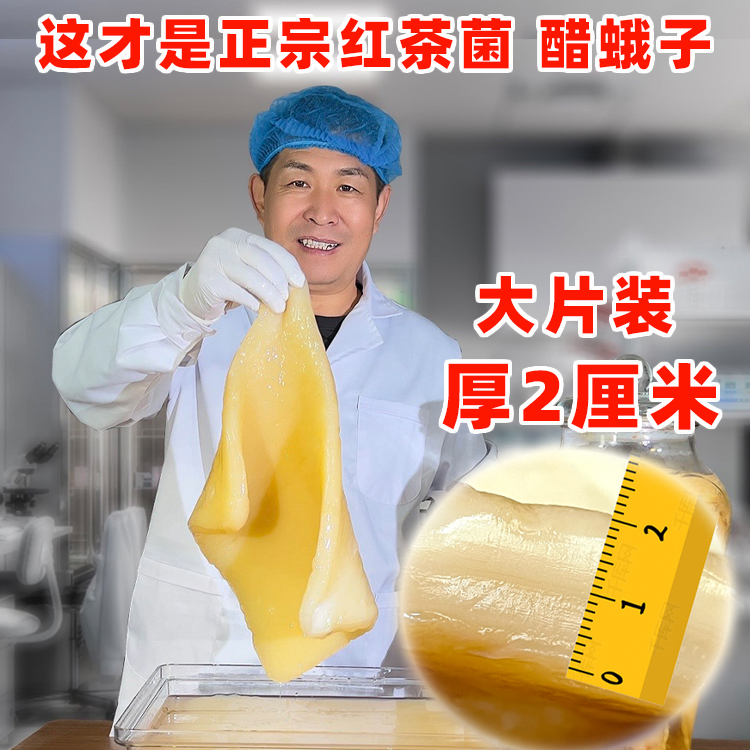 为什么现在很少人喝红茶菌？是过时了吗？