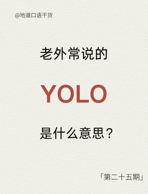 机器学习yolo,什么是YOLO？