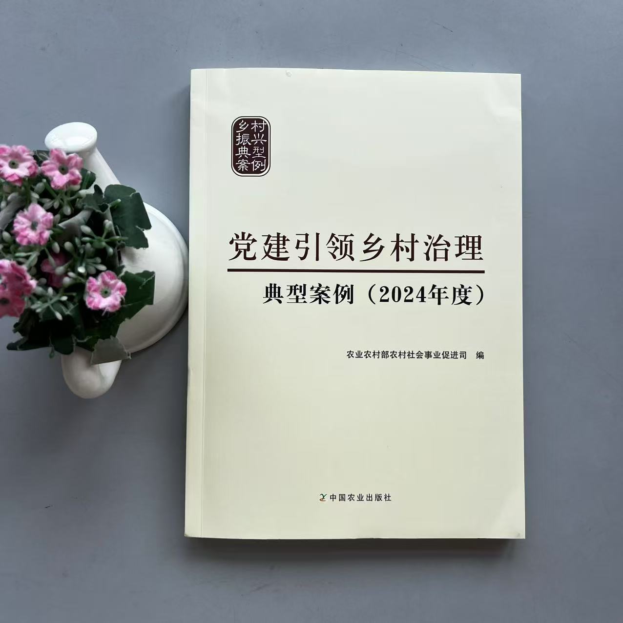党建引领乡村治理，2024年度必读案例！乡村振兴，从这里开始！