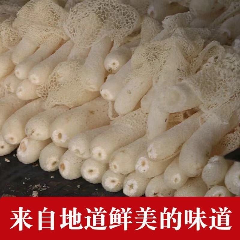 古田竹荪：自然之味，煲汤必备的养生神器！