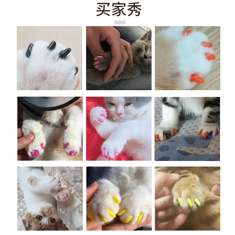 宠物美甲新风尚！狸花猫比熊泰迪指甲套，轻松告别抓痕烦恼!