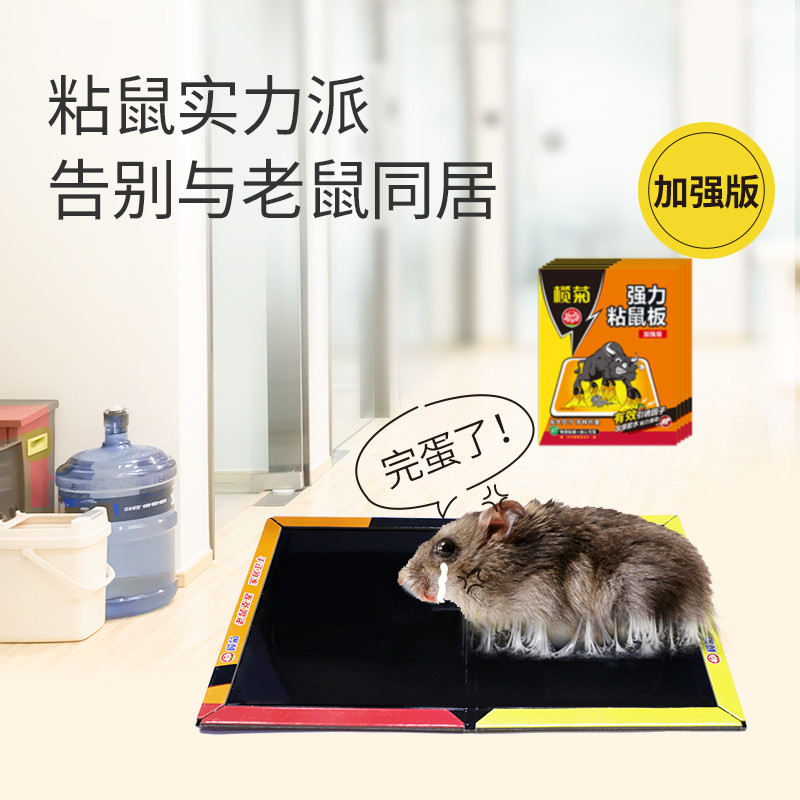 榄菊粘鼠板：家庭灭鼠神器，强力粘鼠板，大老鼠也逃不过！