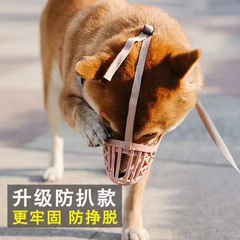 泰迪专属嘴套口罩：守护萌宠安全，告别误食与狂吠！