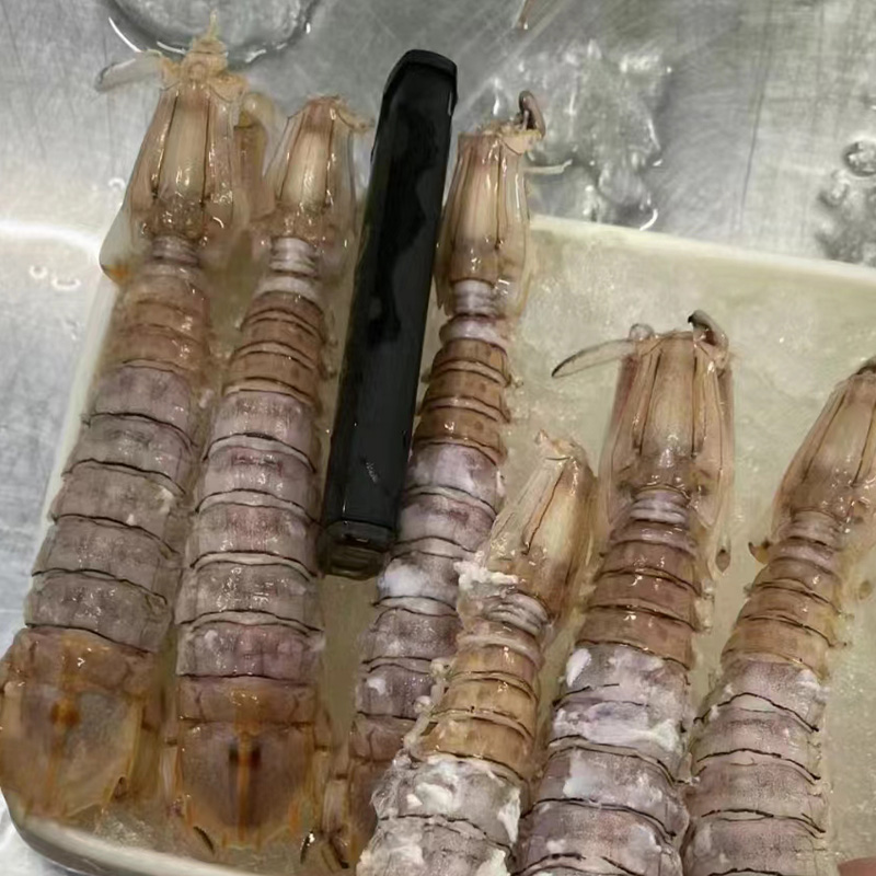 超大鲜活皮皮虾：海鲜盛宴，开启味蕾新体验！
