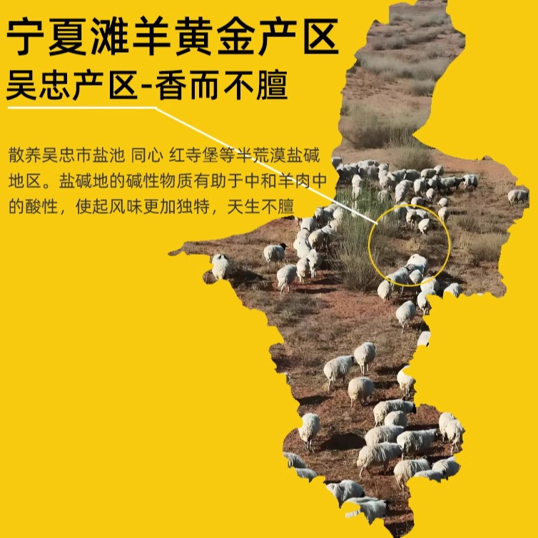 宁夏滩羊肉原切手抓烧烤羊肋排战斧羊排：正宗美味，非内蒙古不可比拟！