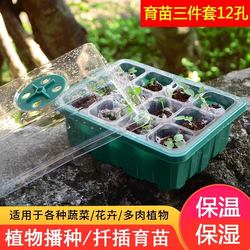 托盘育苗苗盆大揭秘：如何轻松拥有绿意盎然的小花园？