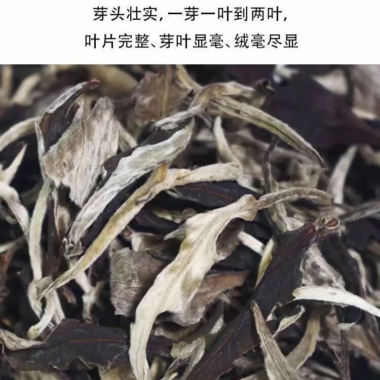 云南高山白茶：春日里的月光美人，你值得拥有！