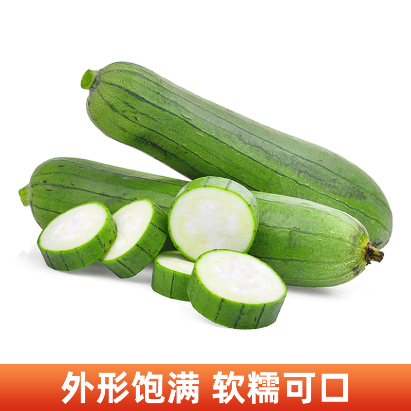 香丝瓜肉丝瓜嫩短粗！孕妇下奶神器，现摘新鲜包邮到家！