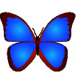 bkViewer图像浏览软件V5.0e绿色版