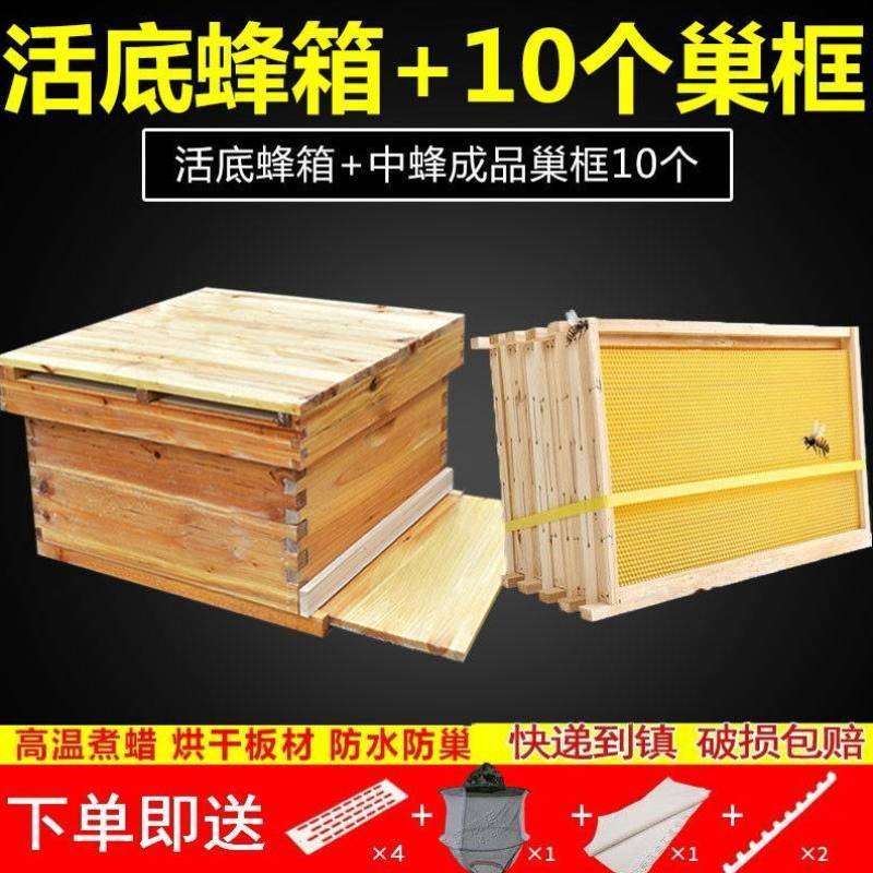 福美养蜂蜂箱全套十框杉木煮蜡蜜蜂箱中蜂蜂巢养蜂箱养蜂用品工具：开启甜蜜事业的必备神器！