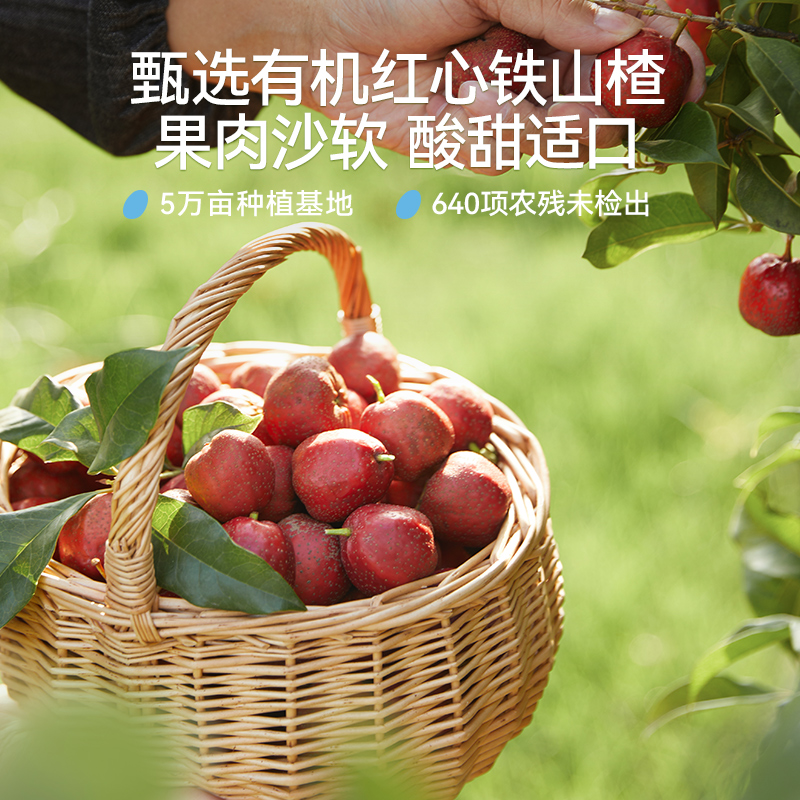 揭秘宝宝辅食：从单一到多样，成长的美味之旅
