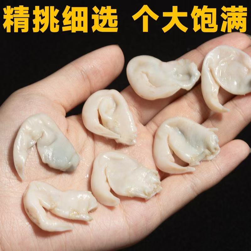 【顺丰包邮】大连白鸟贝冷冻去壳去内脏无沙正宗净肉海鲜批发便宜，吃货们的福音来啦！