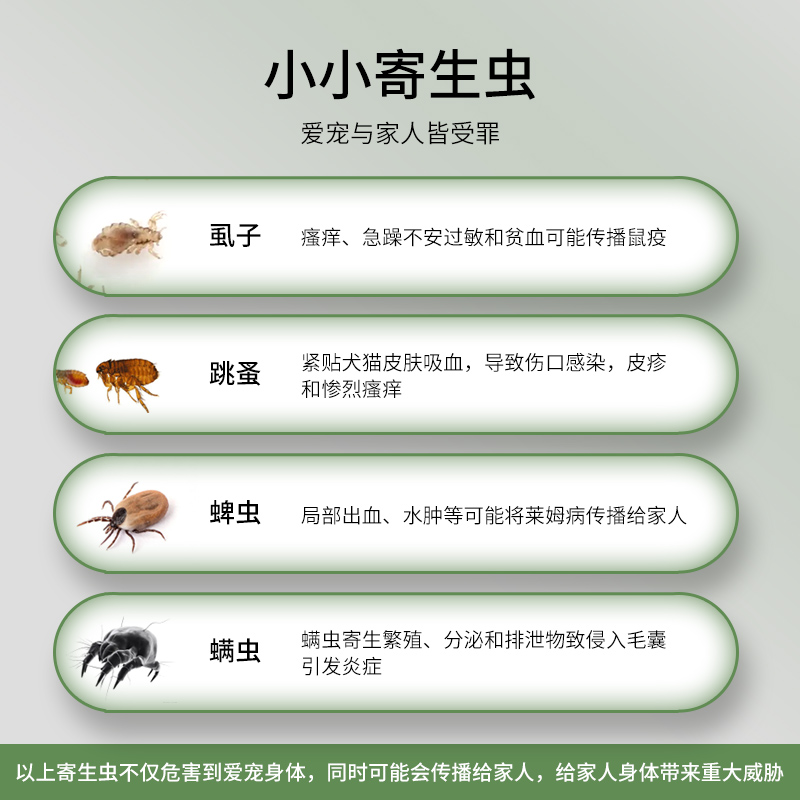宠物猫狗去除跳蚤药浴液，告别痒痒虫，让毛孩子重获新生！✨