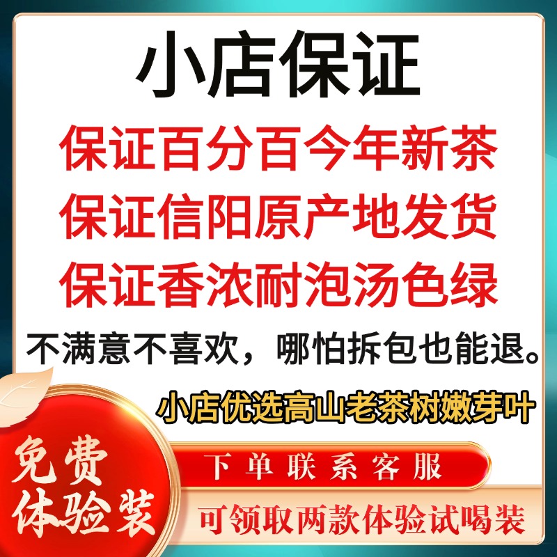2025新茶信阳毛尖绿茶：雨前春茶嫩芽，栗香满溢的新年礼盒，500克耐泡好茶