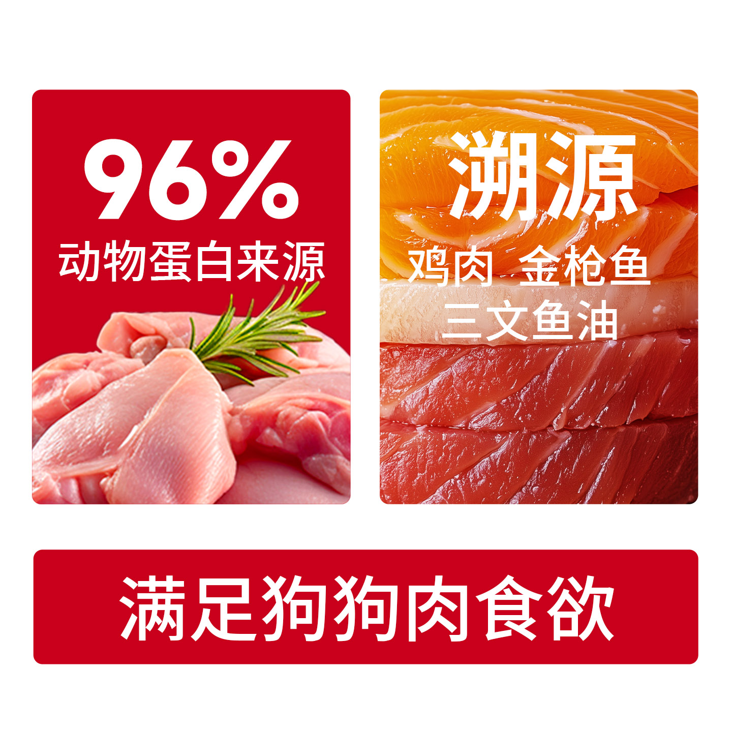 皇家狗粮MIJ31：贵宾泰迪比熊的专属营养餐，8kg大礼包让你的小宝贝健康成长！