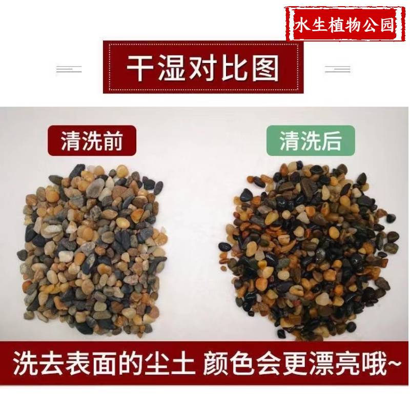 河北河卵石：天然之美，装点你的生活空间