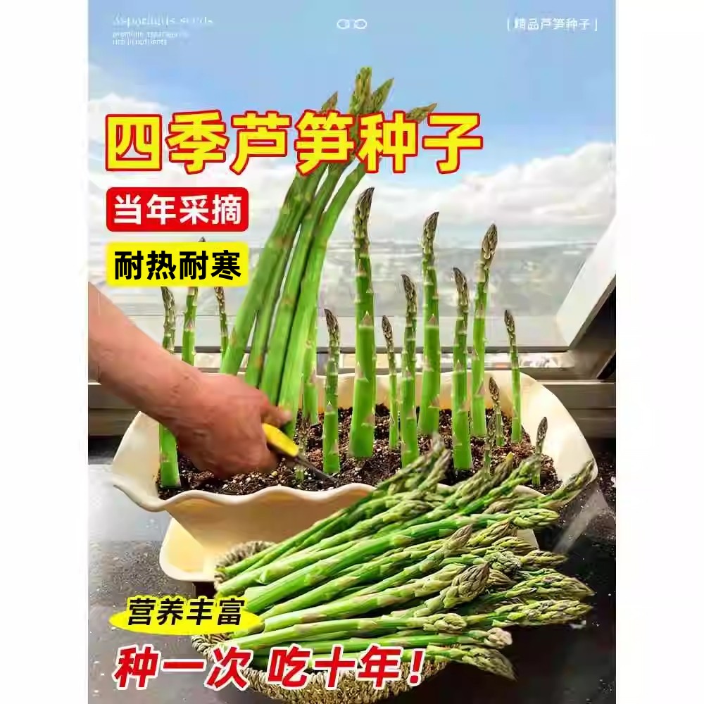广西农家笋：春日里的鲜美馈赠，舌尖上的绿色盛宴