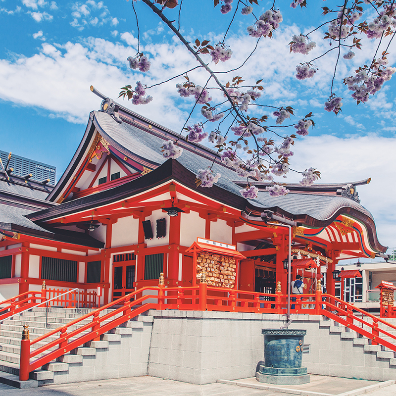 日本五年多次往返签证攻略：上海送签，拒签全退，简化材料，高出签率！