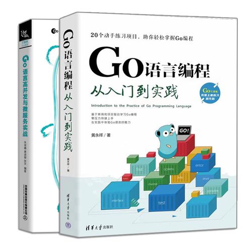 自学go,从入门到精通的完整指南