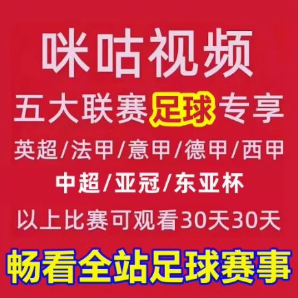 法甲西甲最新战报：谁将书写足球新篇章？