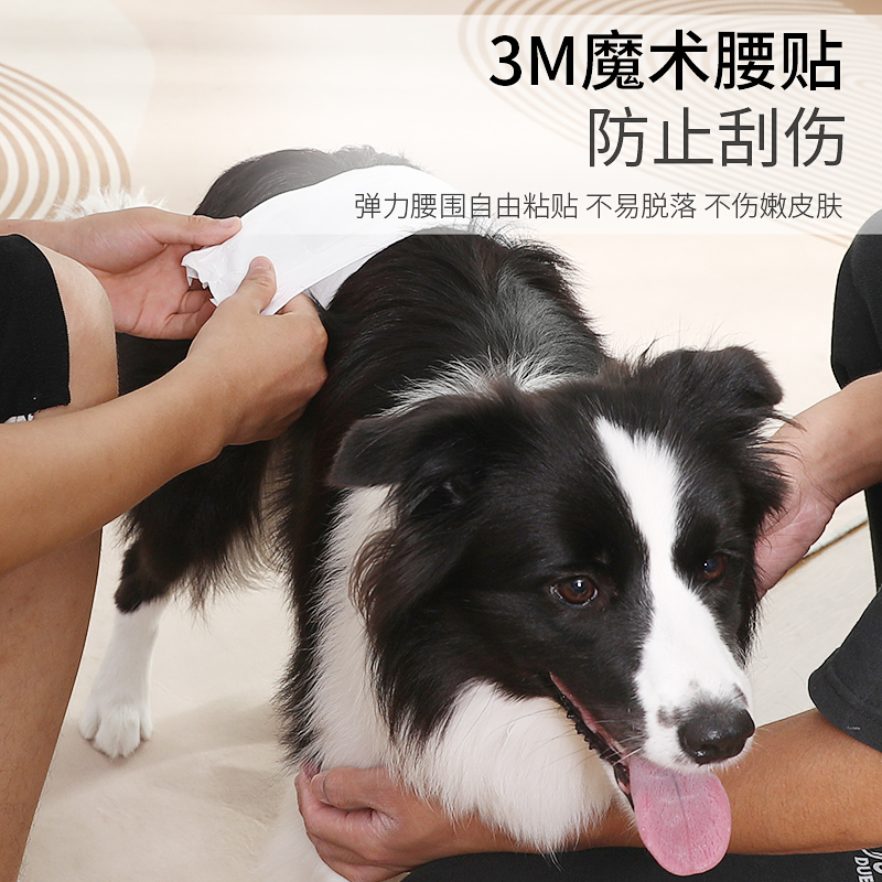 法斗专用生理纸尿裤：解决狗狗“姨妈”烦恼，宠物护理新神器！
