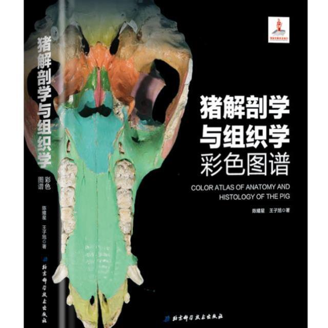 猪解剖学与组织学彩色图谱：陈耀星&amp;王子旭，兽医解剖书籍新标杆！