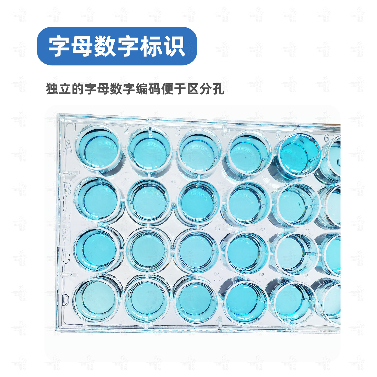 96孔细胞培养板：科研必备神器，高效实验新选择！