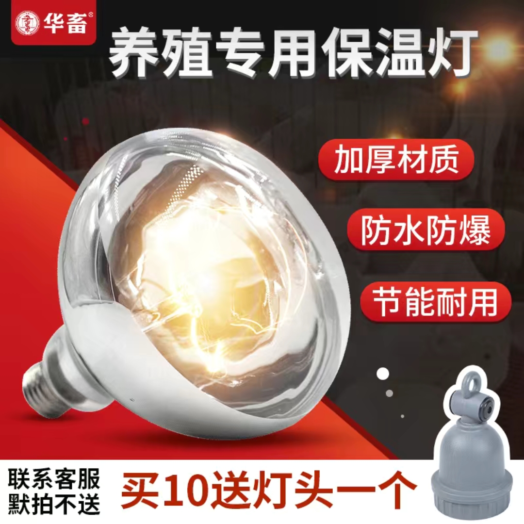 养殖场专用加热灯泡：猪用保暖灯&amp;小鸡育雏加温烤灯，温暖守护成长的秘密武器