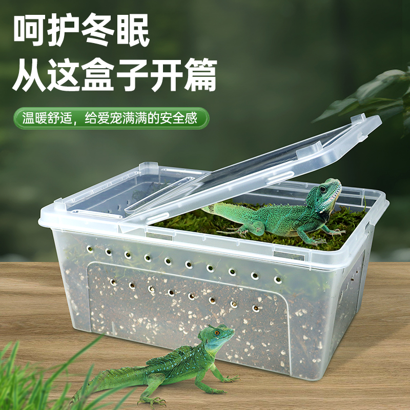 宠物冬眠箱大揭秘：守护你的爬虫宝贝，安全过冬不再难！❄️