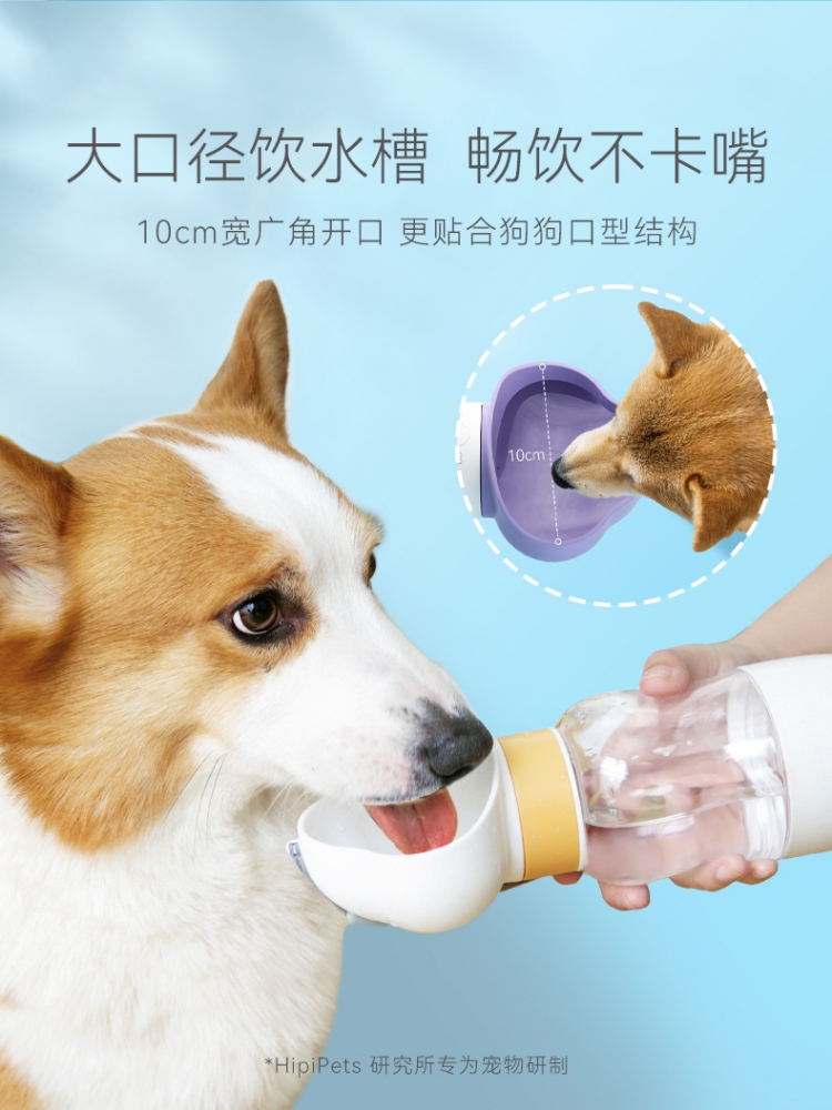 宠物水壶大揭秘！给你的小可爱最佳饮水体验