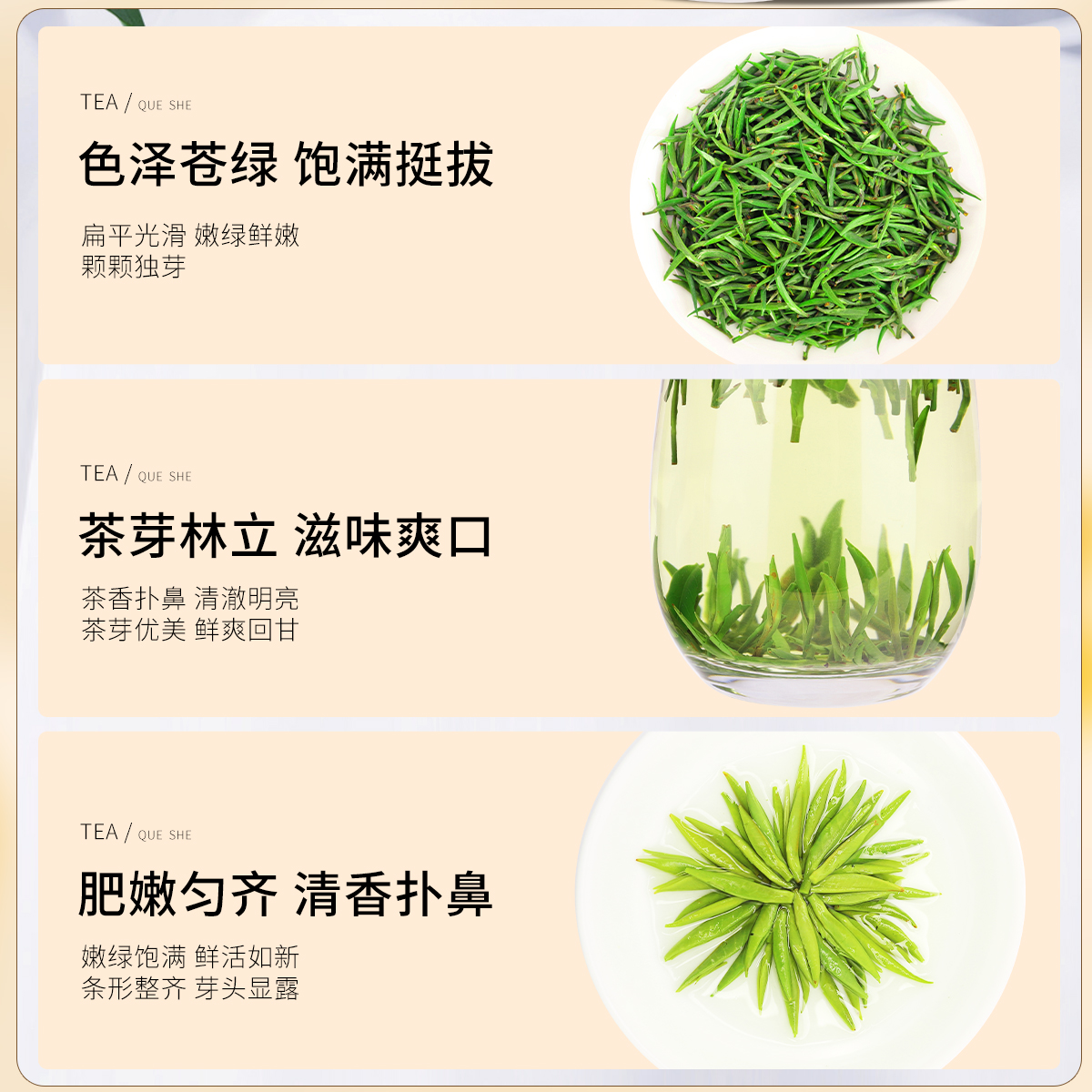 徽将军2025新茶小古明前黄山毛峰绿茶：品味春天的味道