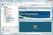 Remote Desktop Manager8.9.4.0 Beta