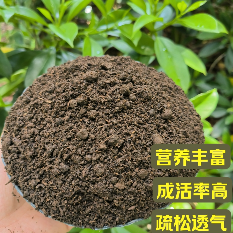 营养土通用型30斤：让植物茁壮成长的秘密武器