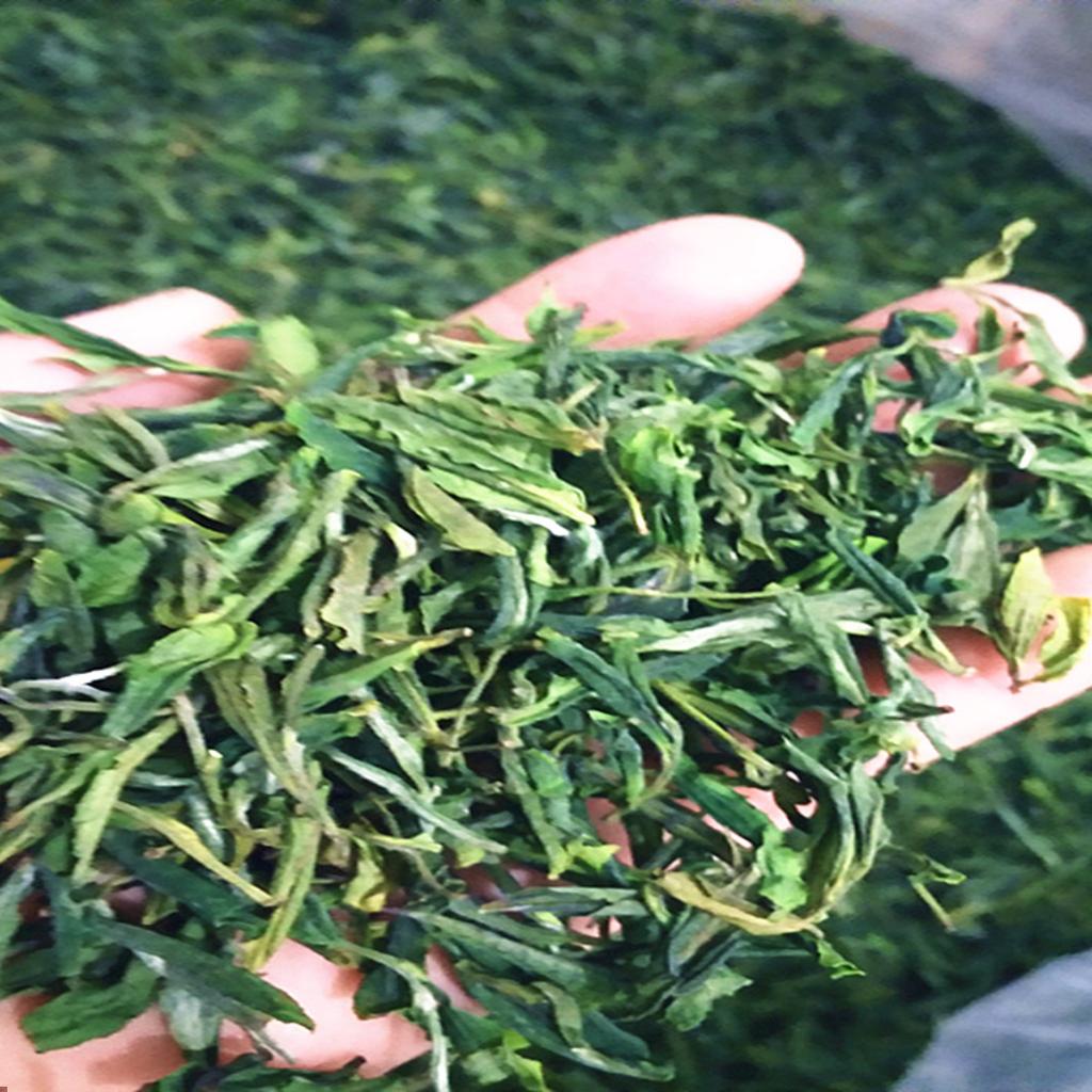 霍山黄芽茶叶价格一览表，小白必看，绝绝子的性价比分析！