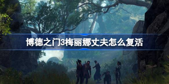 博德之门3梅丽娜丈夫怎么复活 博德之门3梅丽娜丈夫复活攻略