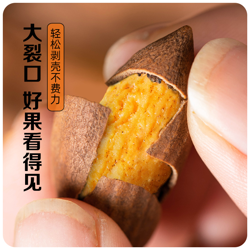 香榧子2025新货！枫桥香妃大籽，诸暨特产级坚果，你真的了解吗？