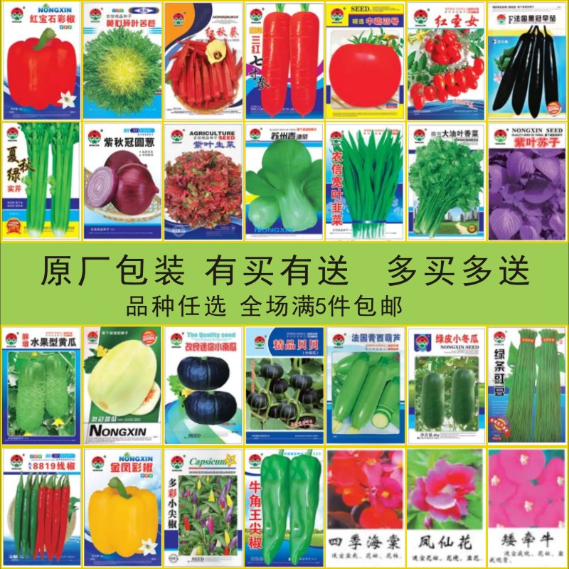 苦瓜：这道夏日“清火菜”的隐藏超能力