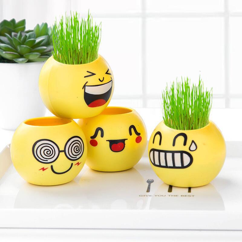 DIY创意草头娃娃：让桌面充满生机的开花绿植盆栽