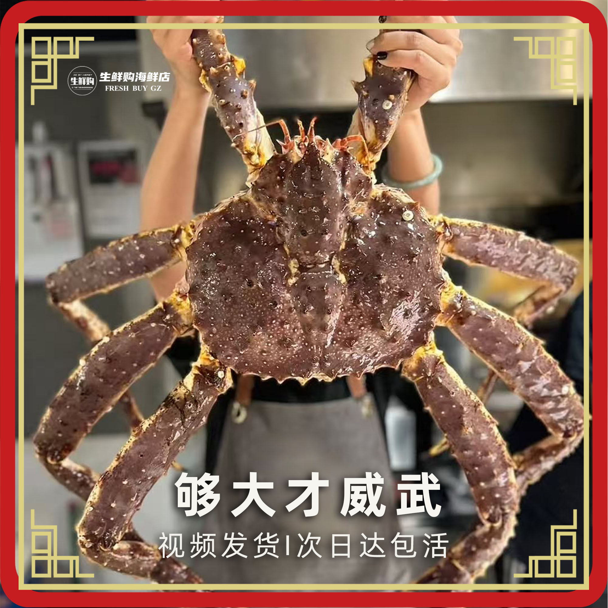 帝王蟹盛宴来袭！鲜活10斤超大长脚螃蟹，全国多仓极速送达！✨