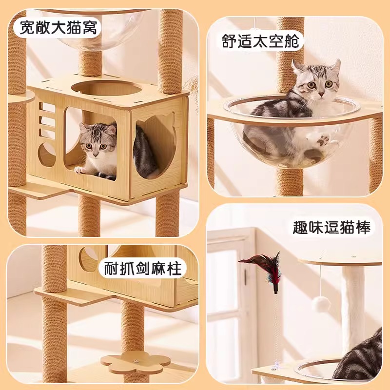 尖叫猫SCREAM实木猫爬架太香了！不占地还能让猫咪狂嗨！