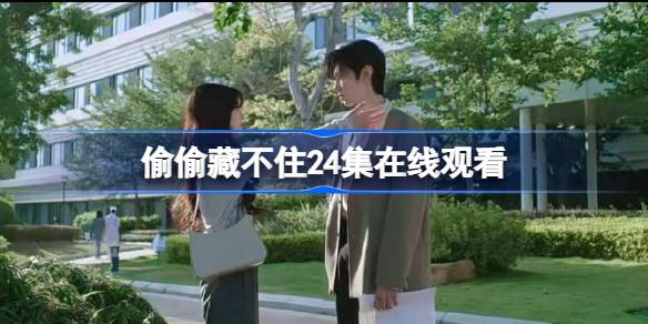 偷偷藏不住24集免费观看 偷偷藏不住24集在线观看