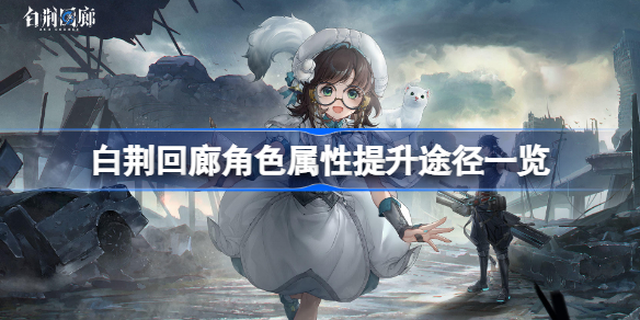 白荆回廊角色属性提升途径一览 白荆回廊角色属性怎么提升