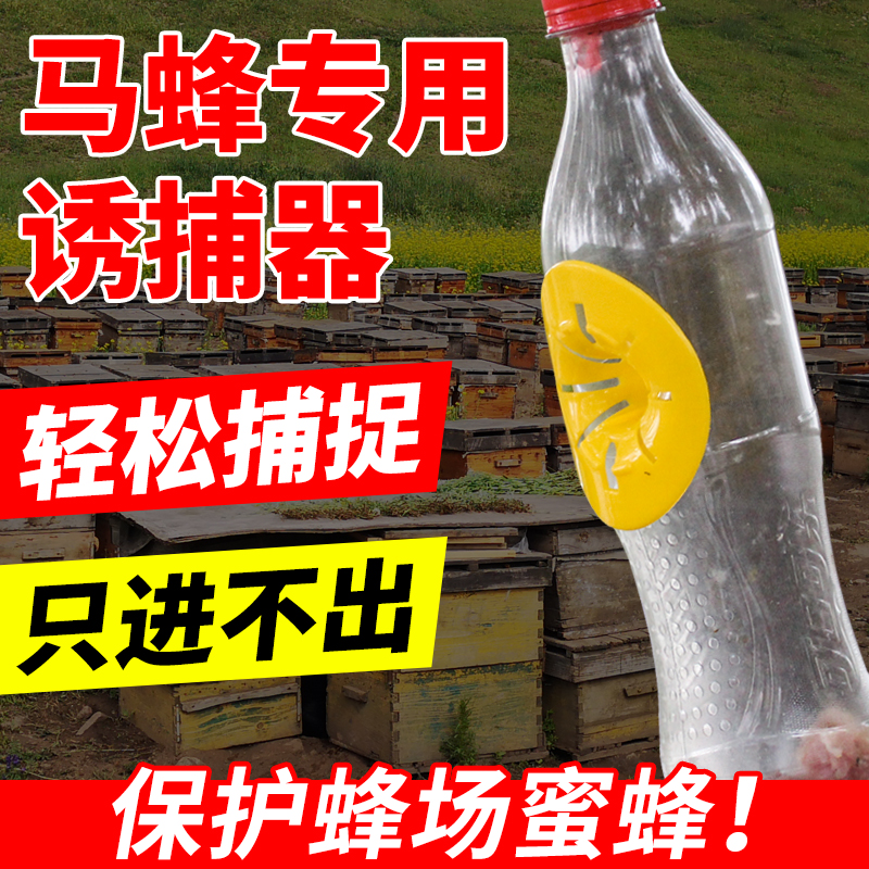 马蜂诱蜂神器大揭秘：非药诱捕工具，安全高效引蜂招蜂！