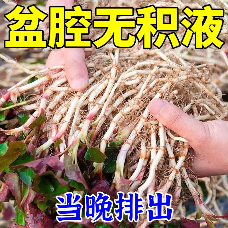 四万海臣治头晕最佳办法：宝藏偏方，建议收藏！